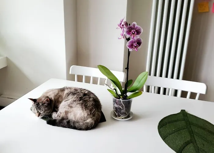 Appartement A Happy Home! Florence